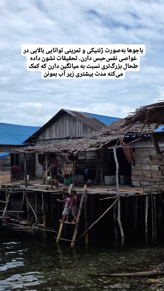  جدید ترین استوری اینستاگرام فاطمه شیرازی