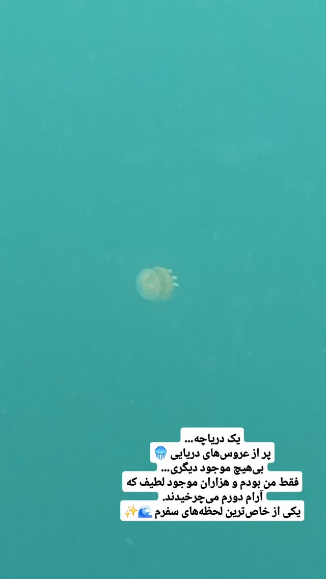  جدید ترین استوری اینستاگرام فاطمه شیرازی