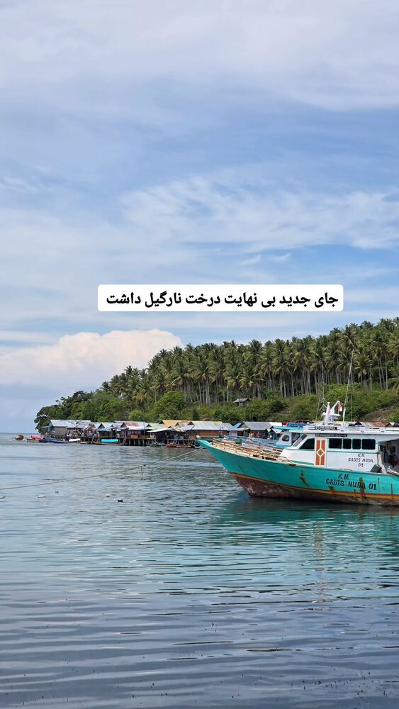  جدید ترین استوری اینستاگرام فاطمه شیرازی