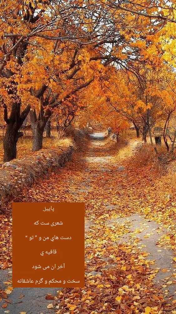  جدید ترین استوری اینستاگرام فاطمه حمامی