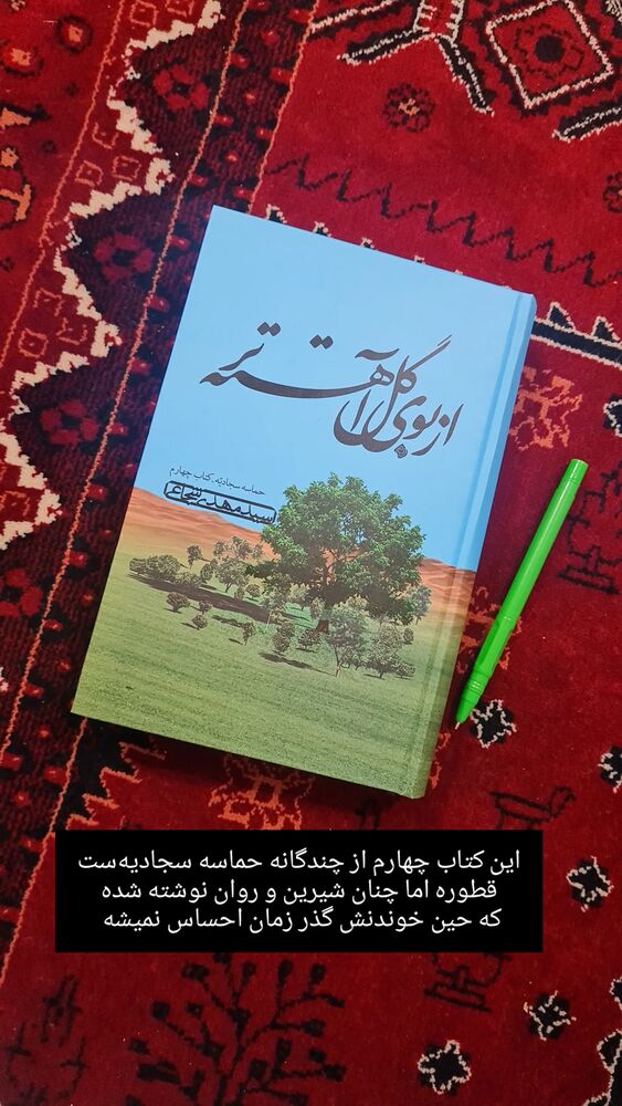  جدید ترین استوری اینستاگرام فاطمه دولتی