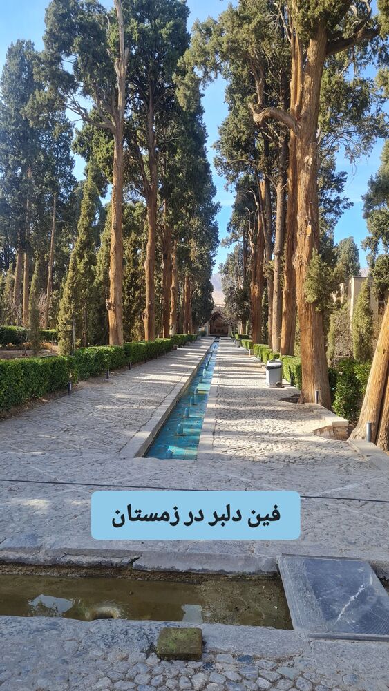  جدید ترین استوری اینستاگرام فاطمه دولتی