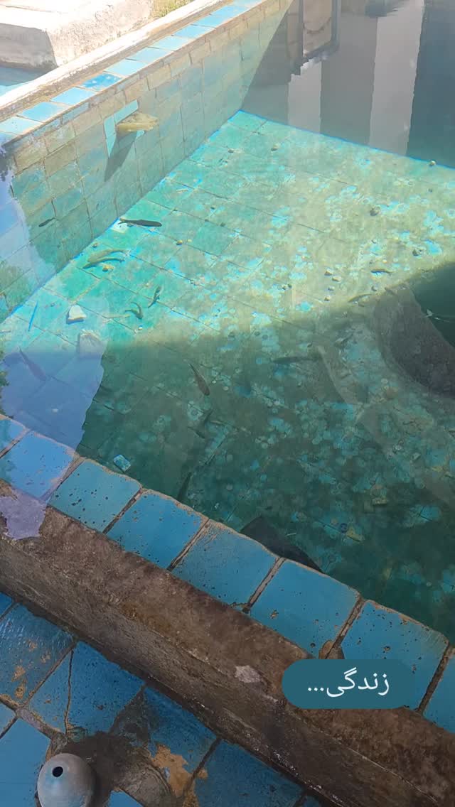  جدید ترین استوری اینستاگرام فاطمه دولتی