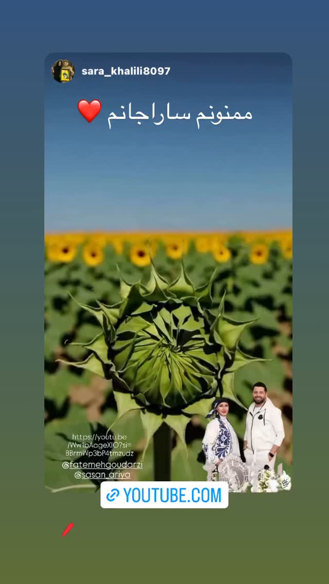  جدید ترین استوری اینستاگرام فاطمه گودرزی