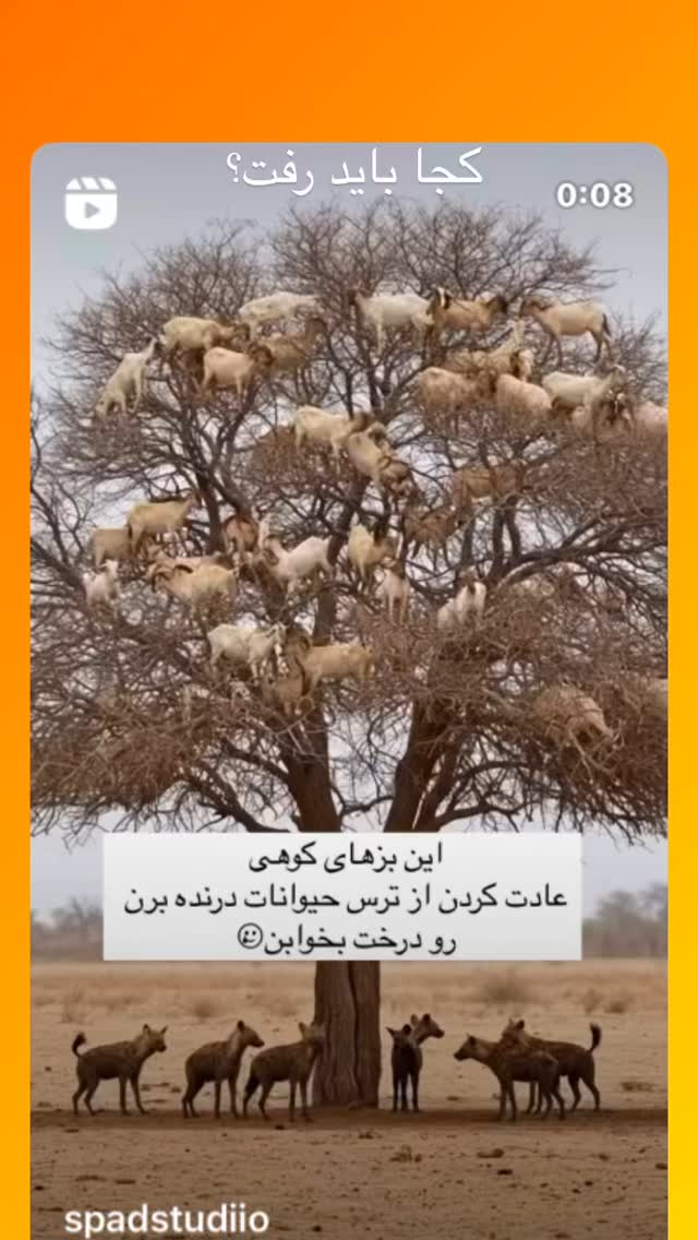  جدید ترین استوری اینستاگرام فاطمه گودرزی