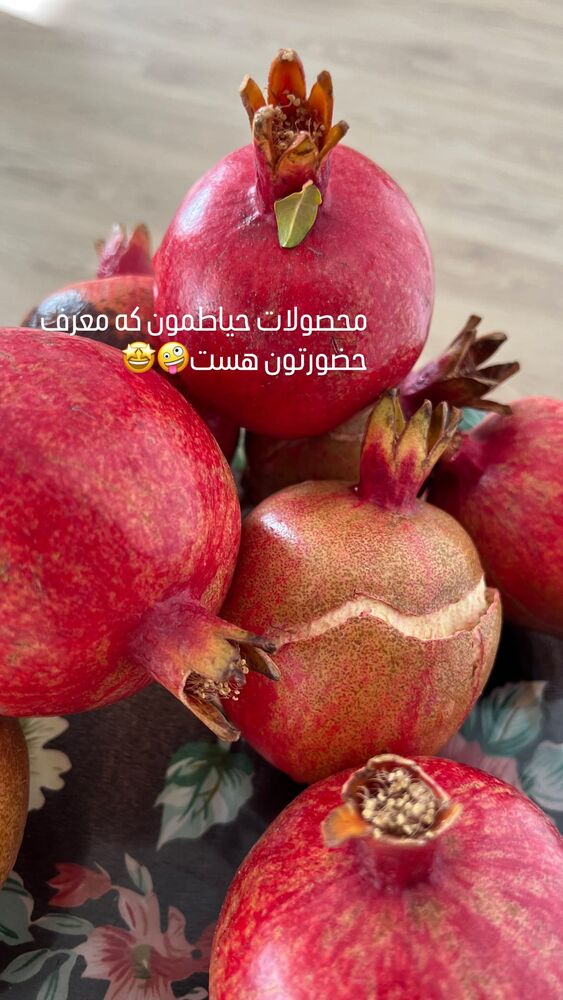  جدید ترین استوری اینستاگرام فاطمه گودرزی