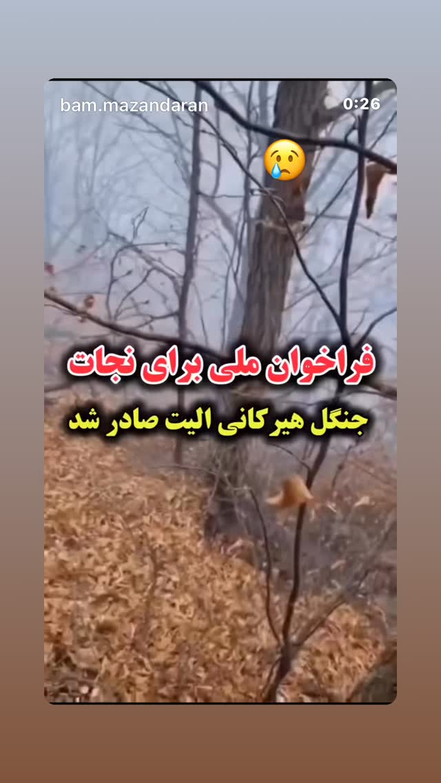  جدید ترین استوری اینستاگرام فاطمه گودرزی