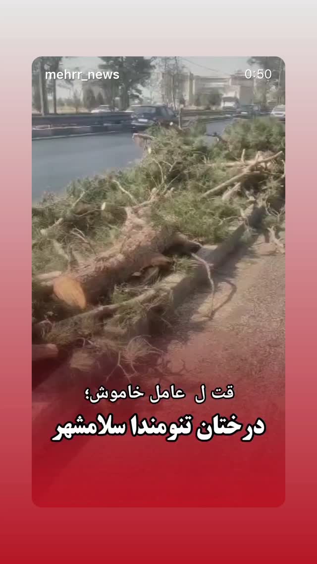  جدید ترین استوری اینستاگرام فاطمه گودرزی