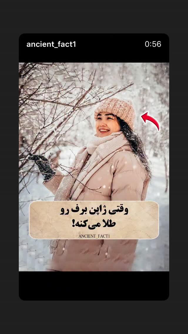  جدید ترین استوری اینستاگرام فاطمه گودرزی