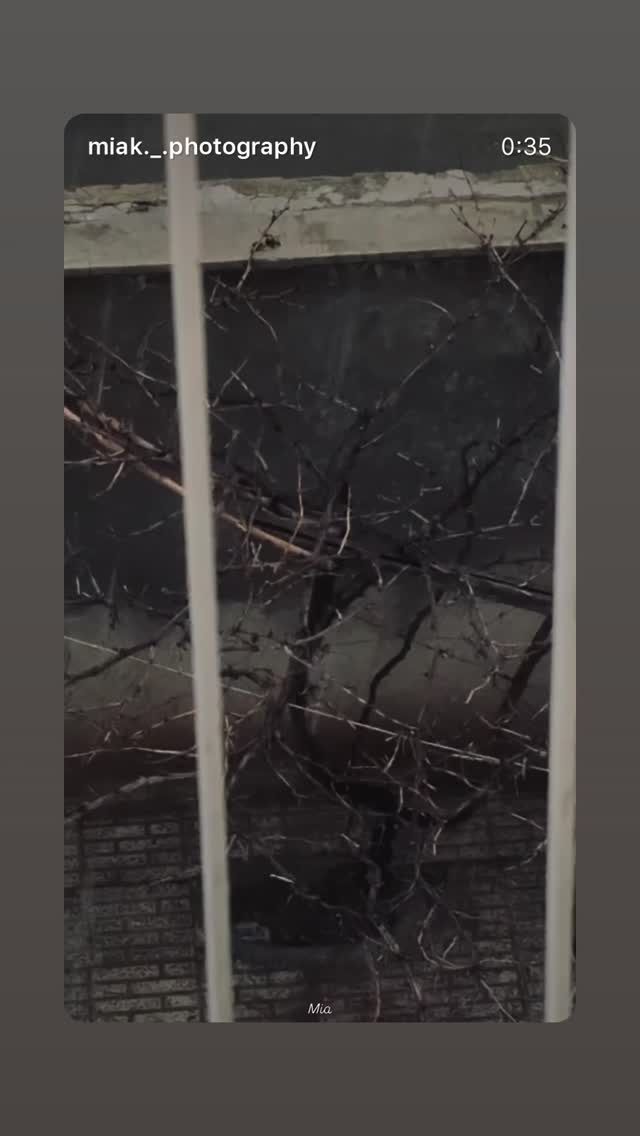  جدید ترین استوری اینستاگرام فاطمه كياپاشا