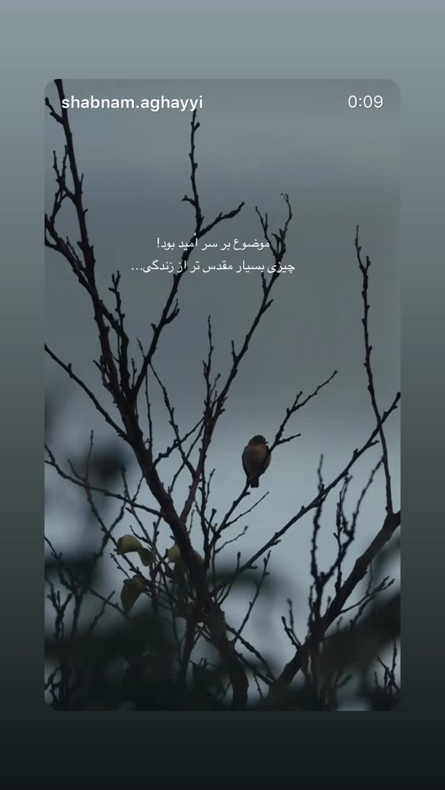  جدید ترین استوری اینستاگرام فاطمه كياپاشا