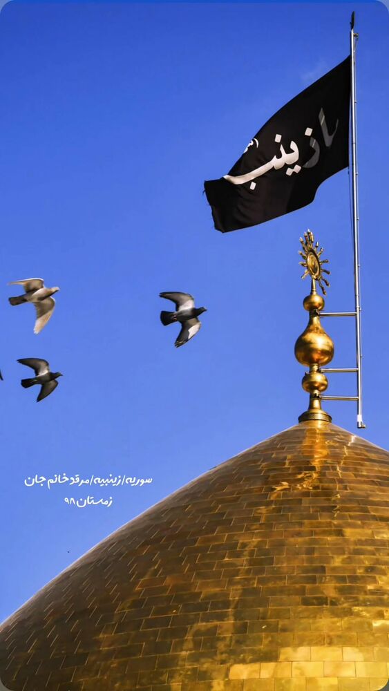  جدید ترین استوری اینستاگرام فاطمه سلطانی