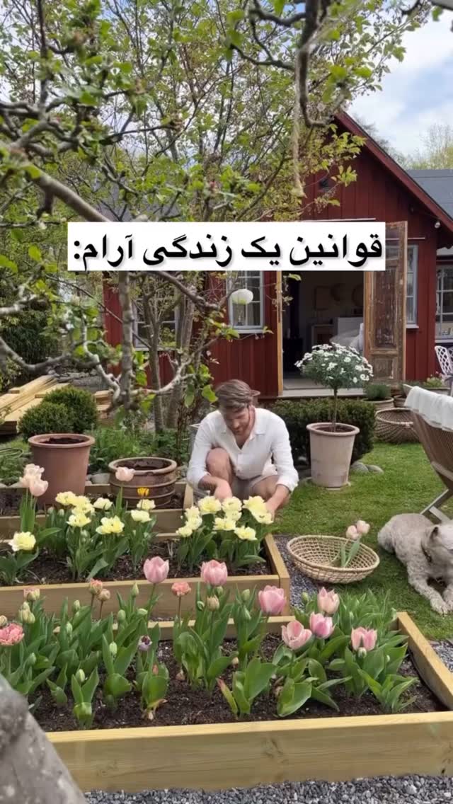  جدید ترین استوری اینستاگرام فاطیما درستکار