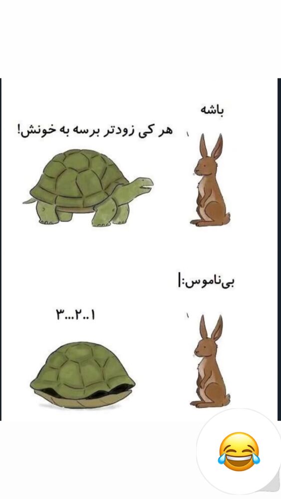  جدید ترین استوری اینستاگرام فاطیما درستکار