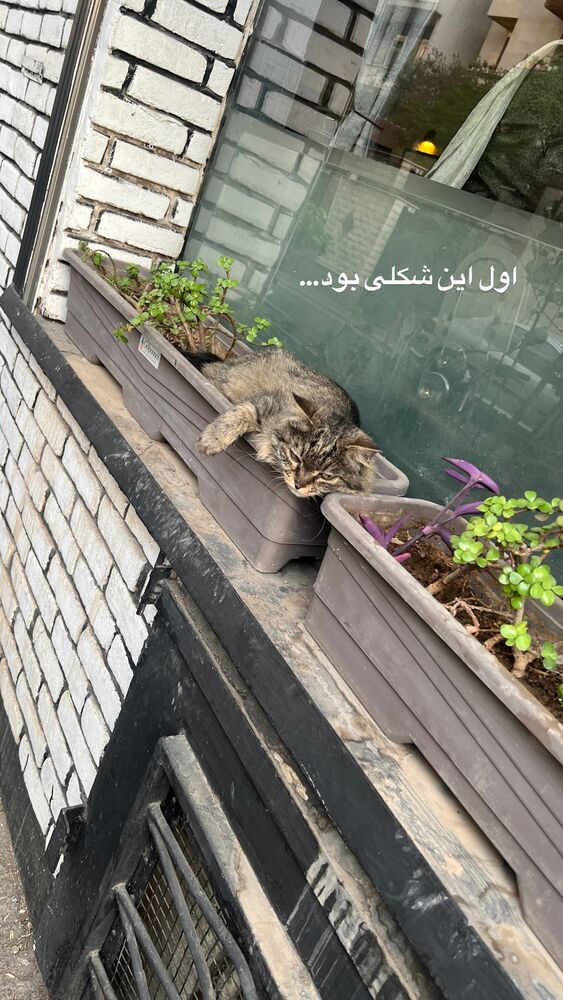  جدید ترین استوری اینستاگرام فاطیما درستکار