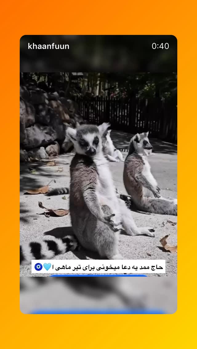  جدید ترین استوری اینستاگرام فاطیما درستکار