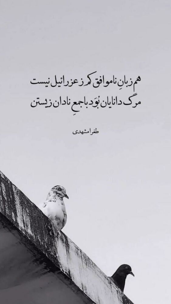  جدید ترین استوری اینستاگرام فاطیما درستکار