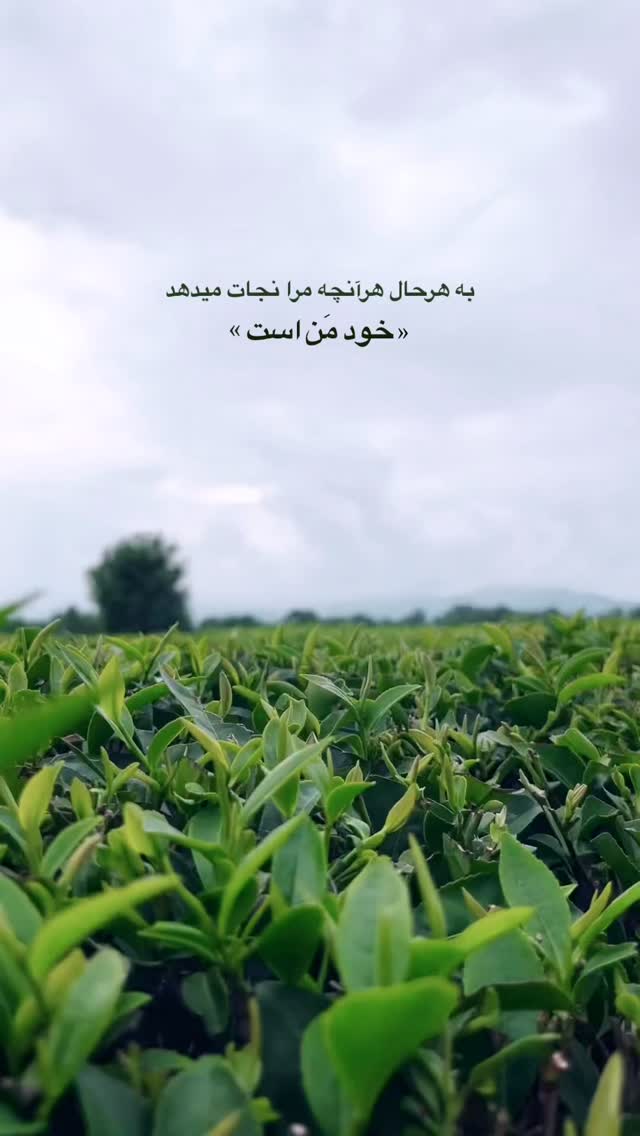 جدید ترین استوری اینستاگرام فاطیما درستکار