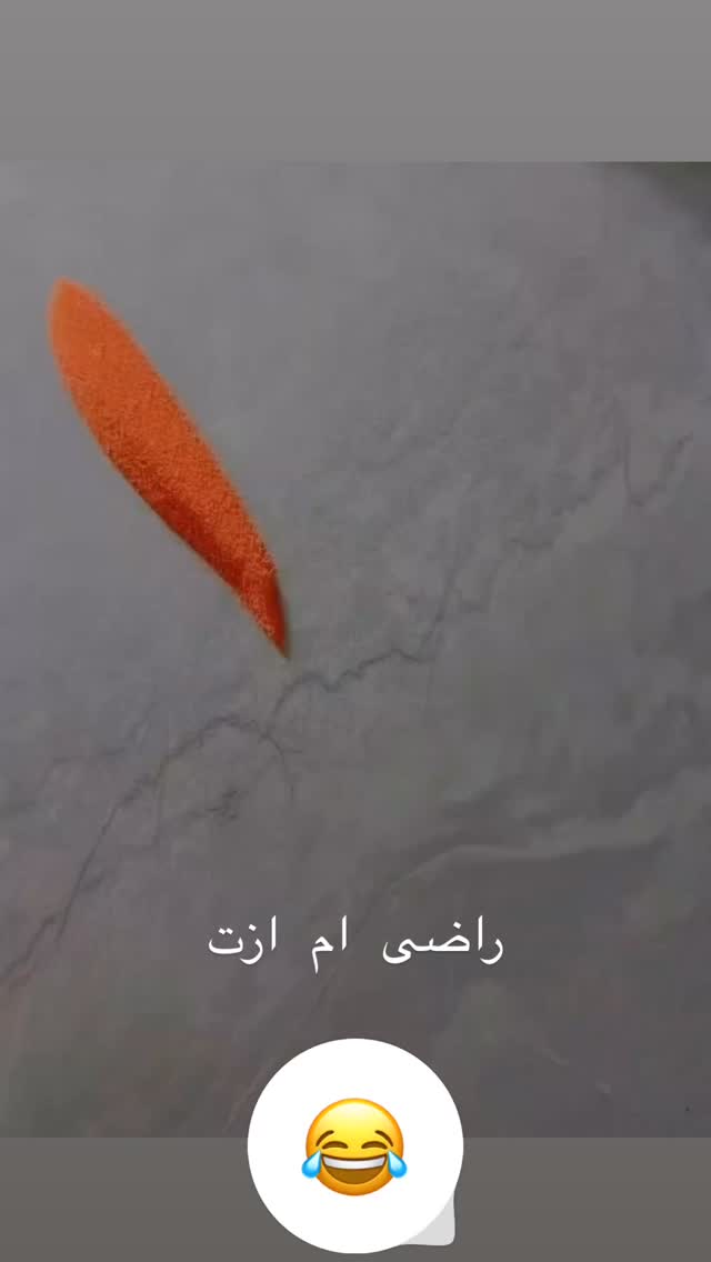  جدید ترین استوری اینستاگرام فاطیما درستکار