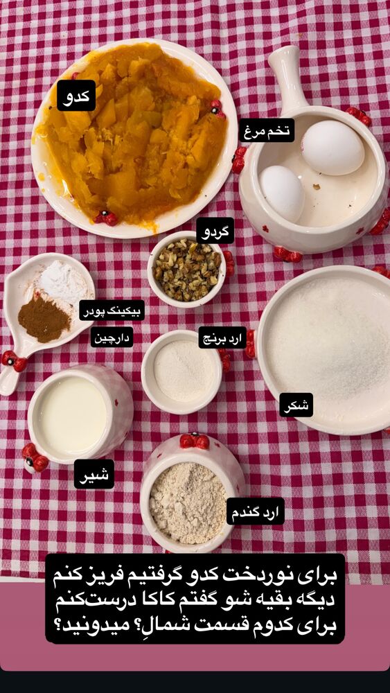  جدید ترین استوری اینستاگرام فاطمه فردین