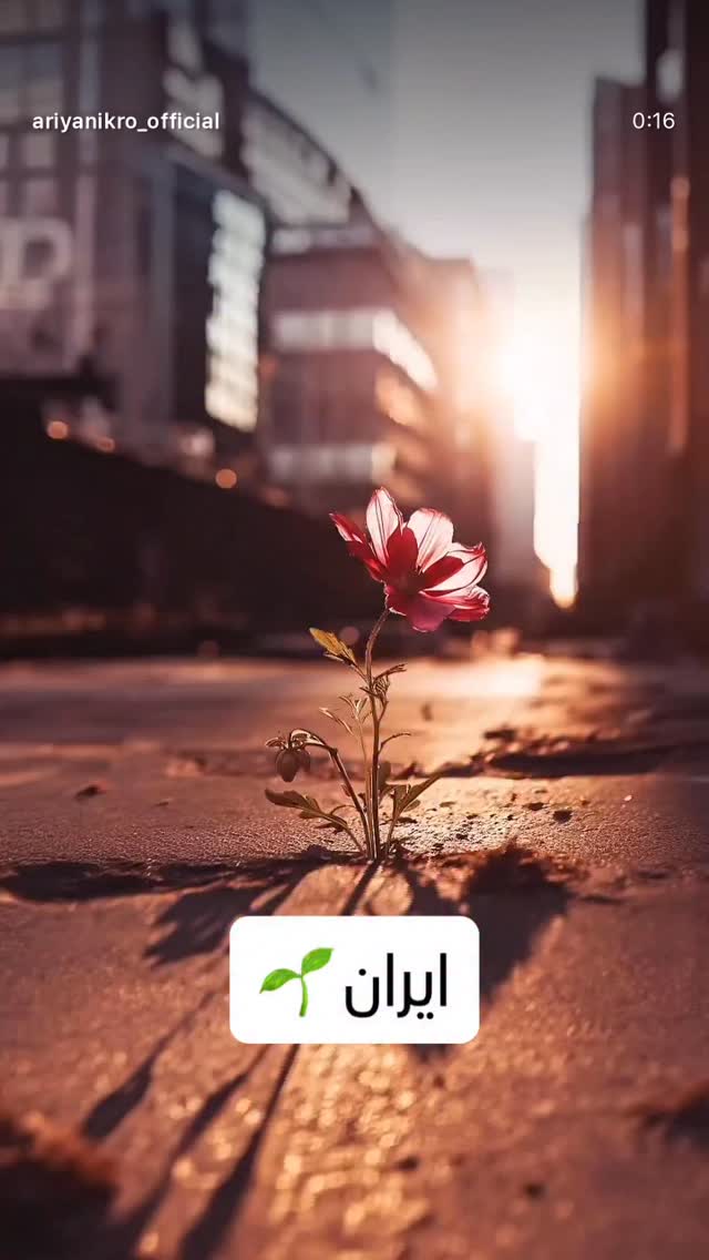  جدید ترین استوری اینستاگرام فاضل اتراچالی