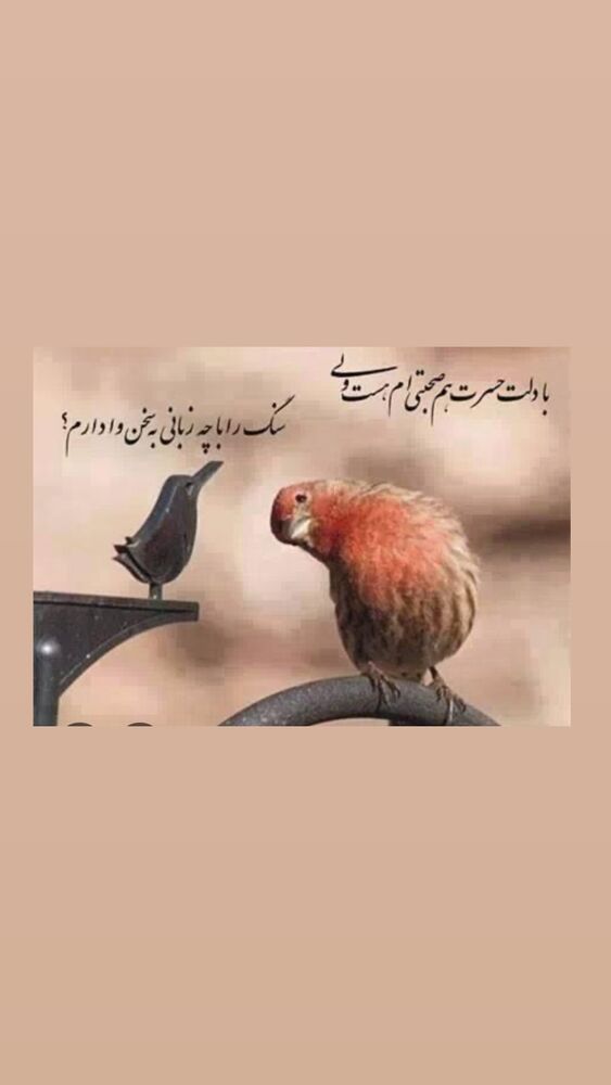  جدید ترین استوری اینستاگرام فاضل نظری