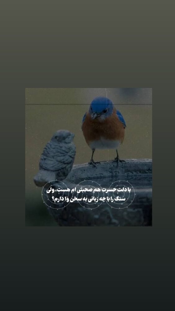  جدید ترین استوری اینستاگرام فاضل نظری