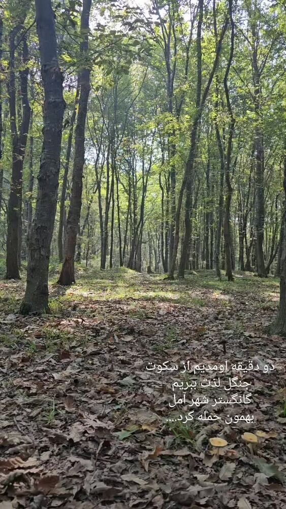  جدید ترین استوری اینستاگرام فاطمه دلاوری پاریزی