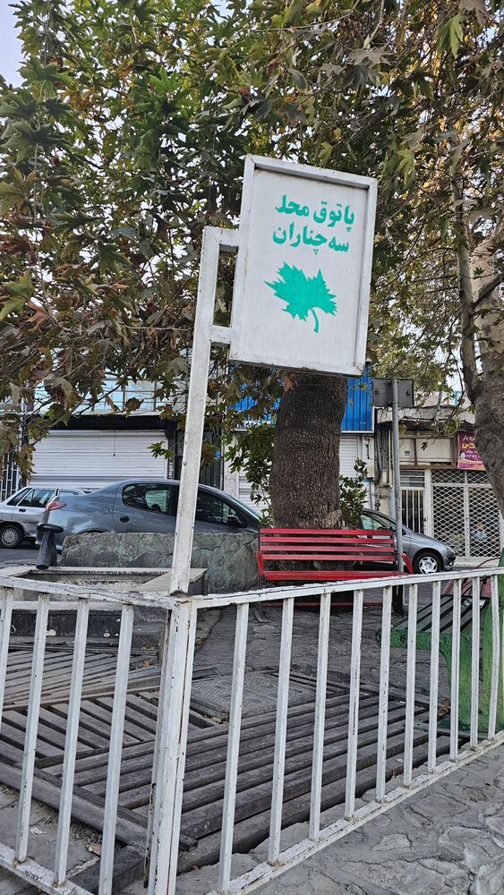  جدید ترین استوری اینستاگرام فاطمه دلاوری پاریزی