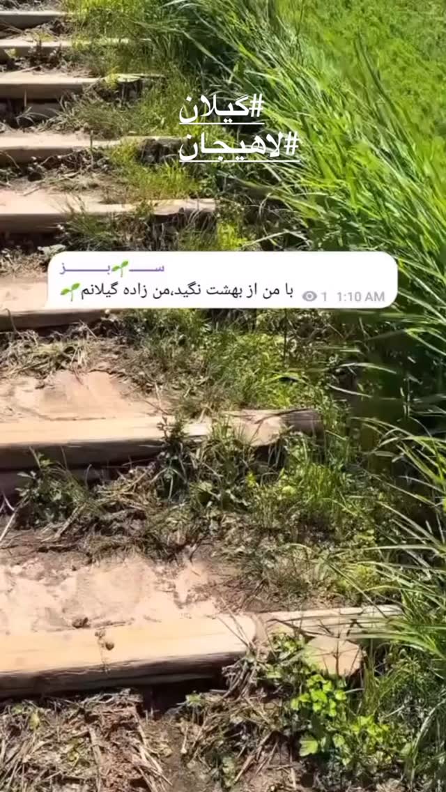  جدید ترین استوری اینستاگرام فلور نظری