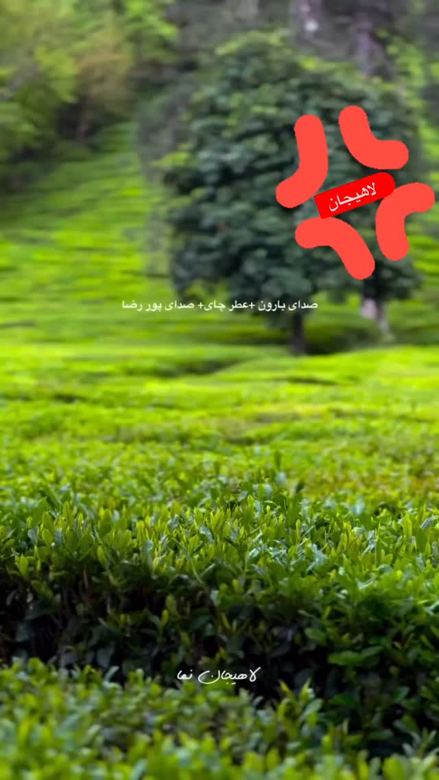  جدید ترین استوری اینستاگرام فلور نظری