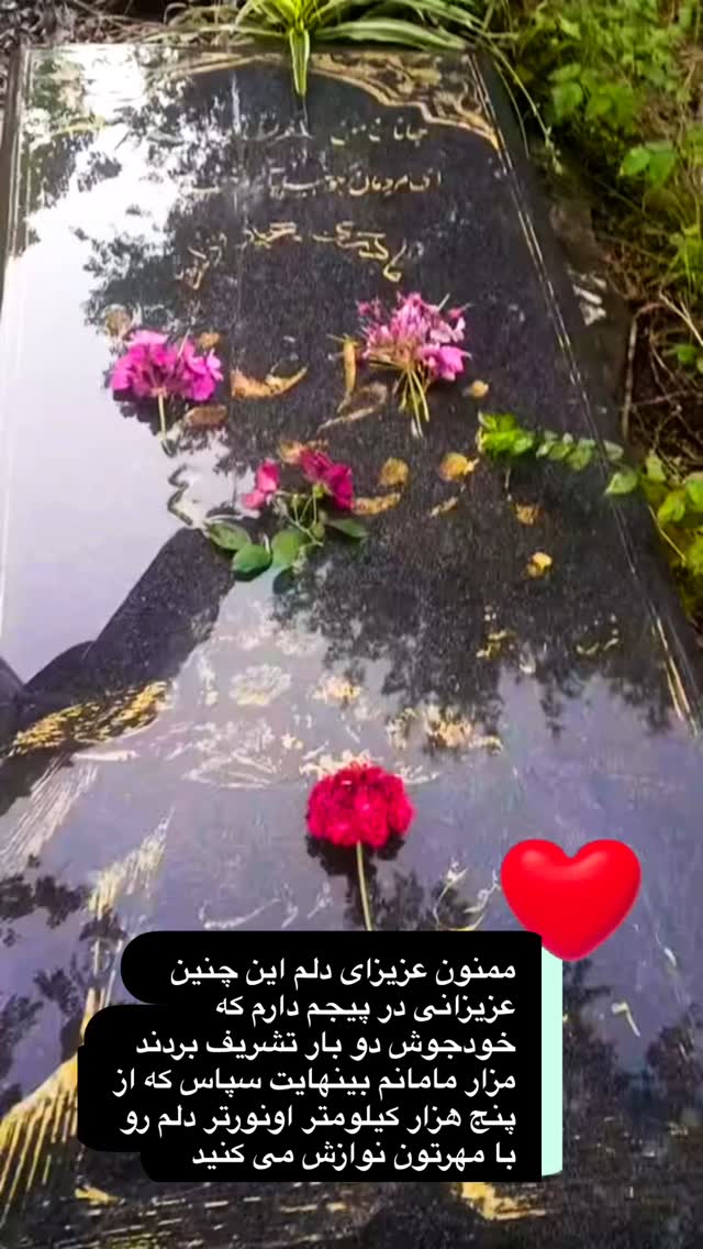  جدید ترین استوری اینستاگرام فلور نظری
