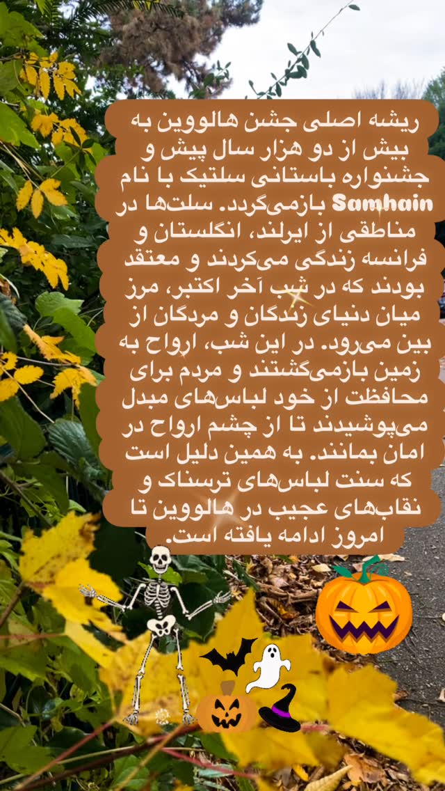  جدید ترین استوری اینستاگرام فلور نظری