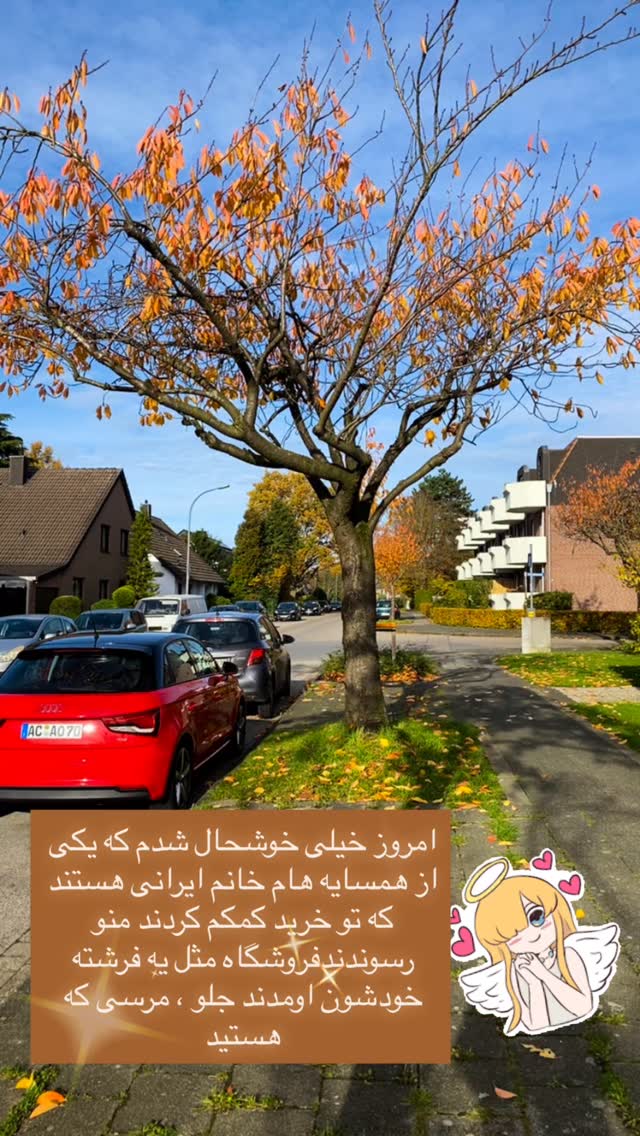  جدید ترین استوری اینستاگرام فلور نظری
