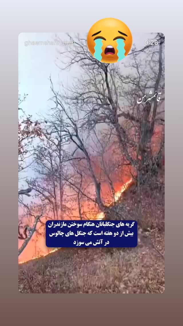  جدید ترین استوری اینستاگرام فلور نظری