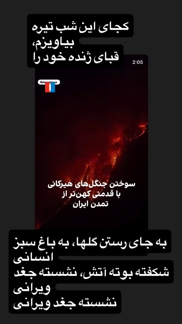  جدید ترین استوری اینستاگرام فلور نظری