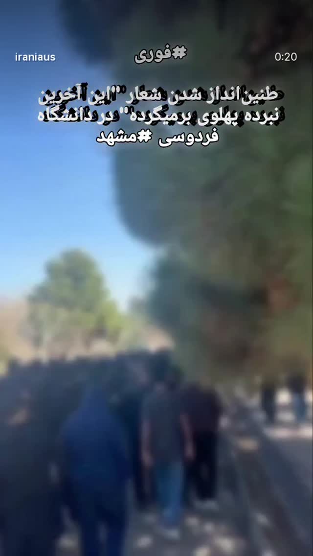  جدید ترین استوری اینستاگرام فلور نظری