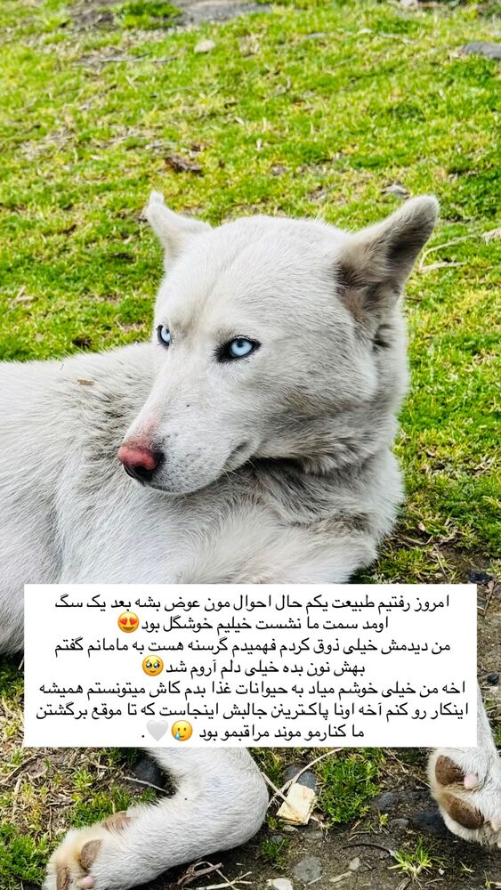  جدید ترین استوری اینستاگرام فرشته