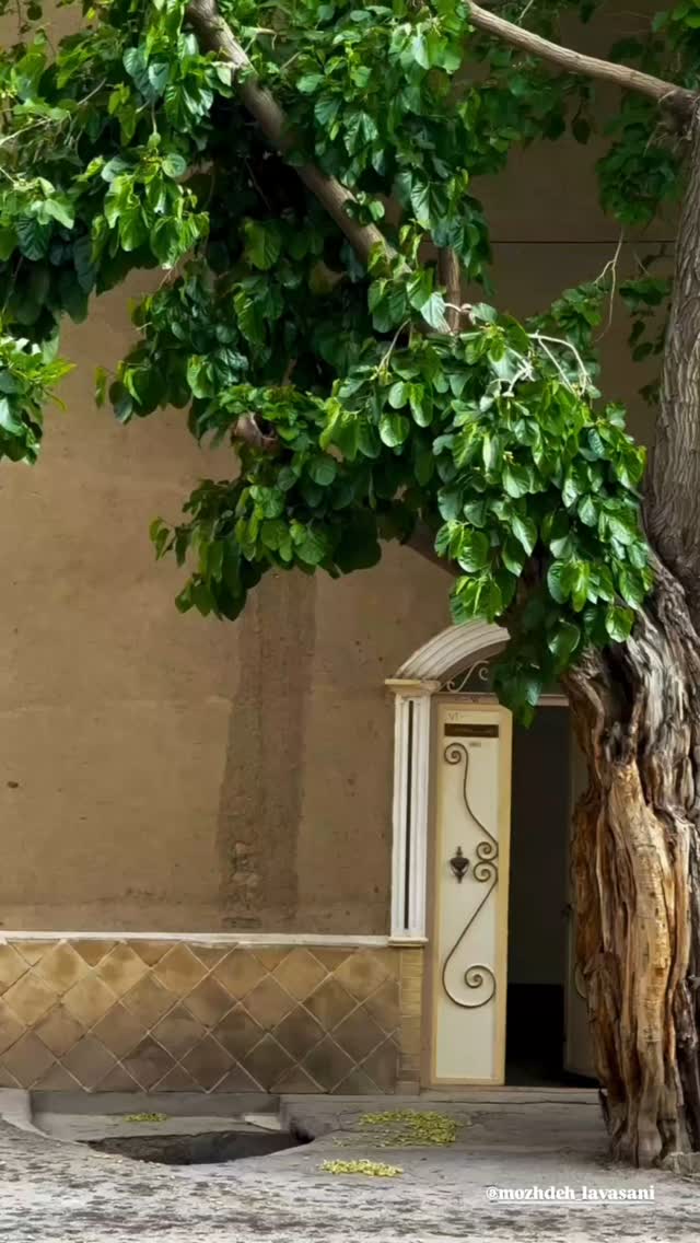  جدید ترین استوری اینستاگرام محسن فیضی