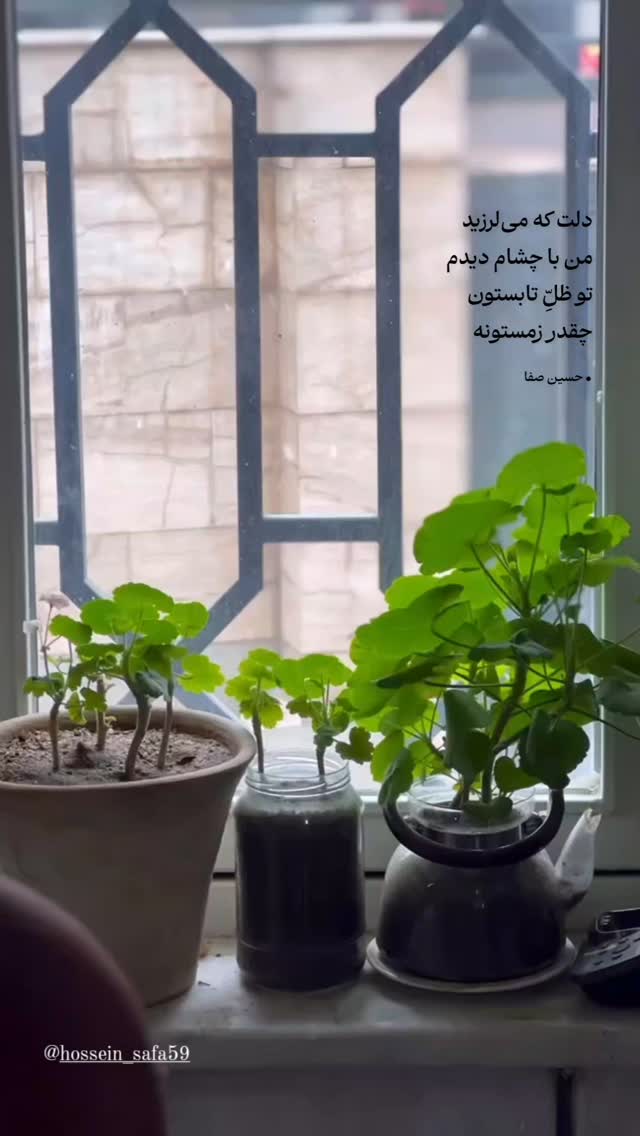 جدید ترین استوری اینستاگرام محسن فیضی