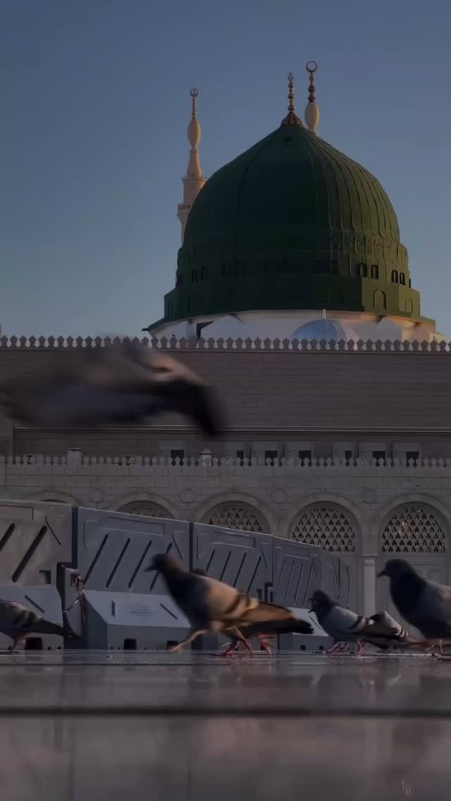  جدید ترین استوری اینستاگرام محسن فیضی