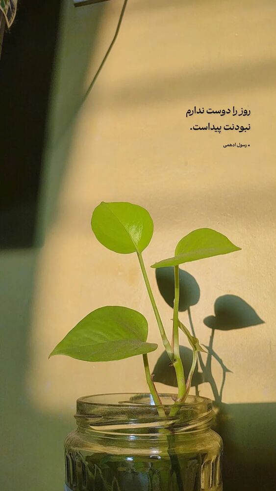  جدید ترین استوری اینستاگرام محسن فیضی