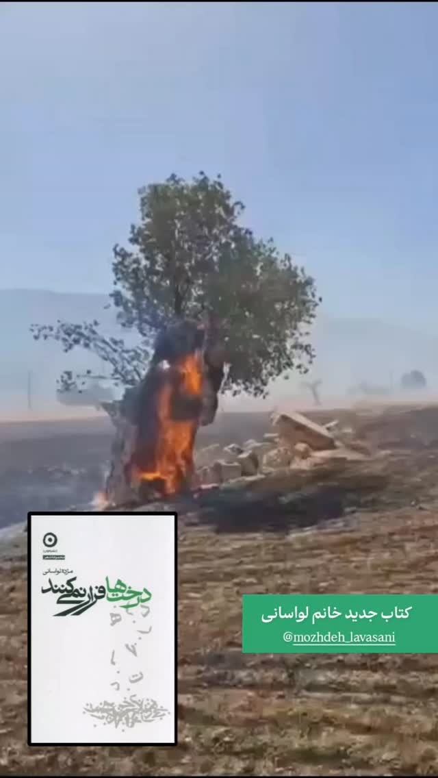  جدید ترین استوری اینستاگرام محسن فیضی