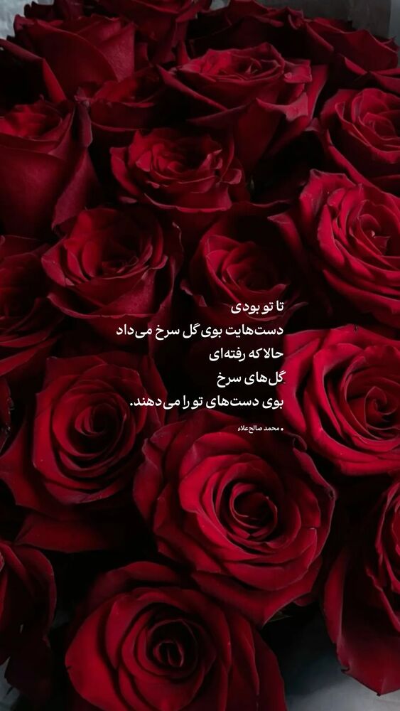  جدید ترین استوری اینستاگرام محسن فیضی