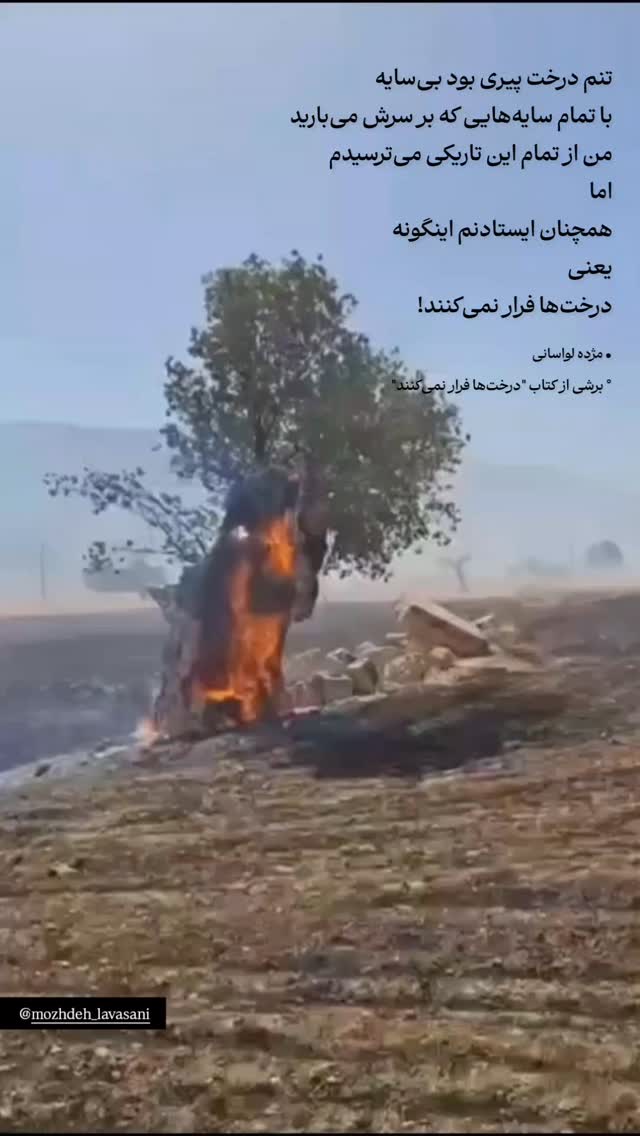  جدید ترین استوری اینستاگرام محسن فیضی