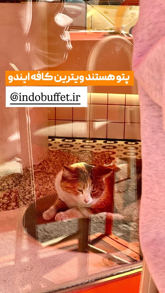  جدید ترین استوری اینستاگرام بهترین های تبریز