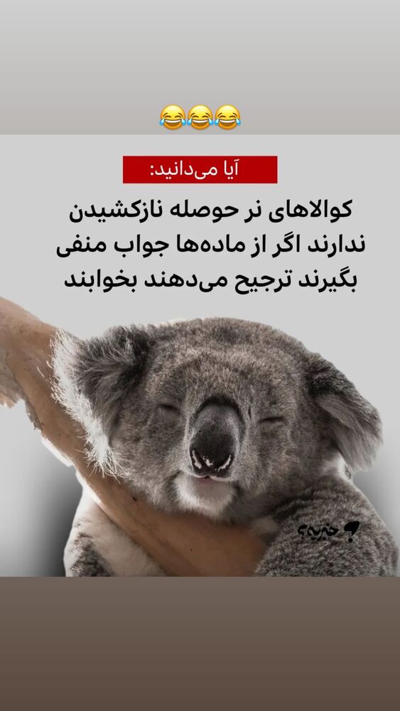  جدید ترین استوری اینستاگرام حسین فیروی