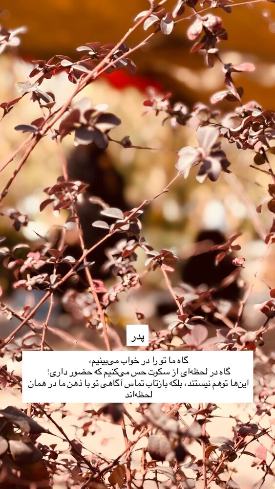  جدید ترین استوری اینستاگرام حسین فیروی