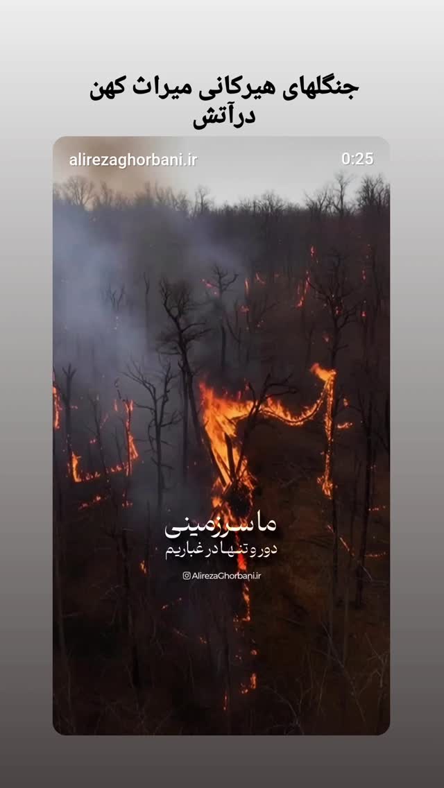  جدید ترین استوری اینستاگرام فلورا سام