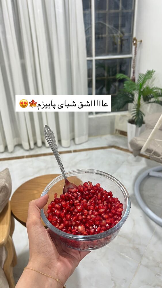  جدید ترین استوری اینستاگرام فاطمه مکاری